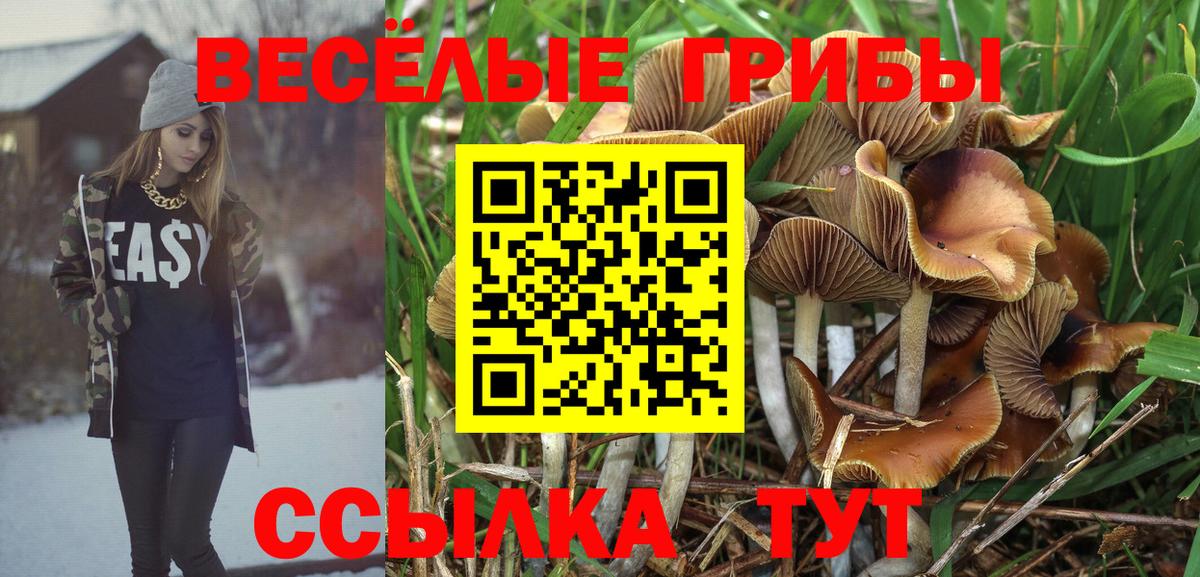 Псилоцибиновые грибы GOLDEN TEACHER Трёхгорный